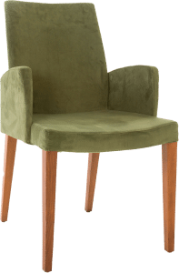 Saguaro with Wooden stand
